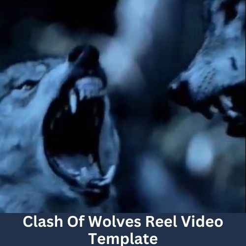 Clash Of Wolves Reel Video Template