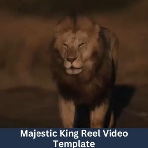 Majestic King Reel Video Template