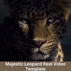 Majestic Leopard Reel Video Template