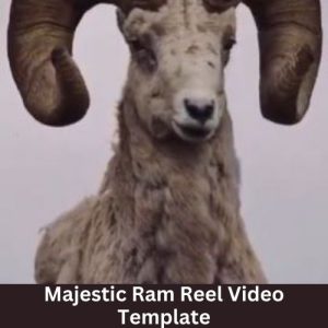 Majestic Ram Reel Video Template