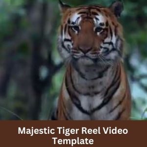 Majestic Tiger Reel Video Template