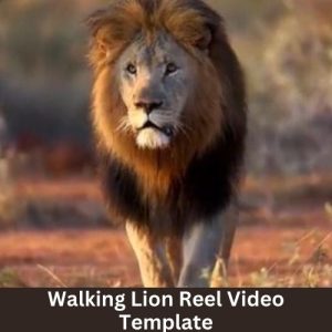 Walking Lion Reel Video Template