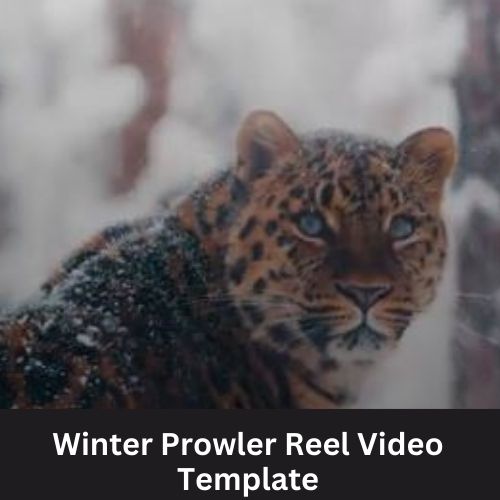Winter Prowler Reel Video Template