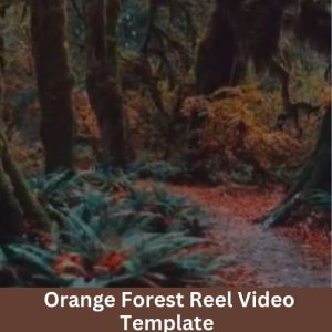 Orange Forest Reel Video Template