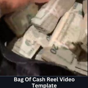 Bag Of Cash Reel Video Template