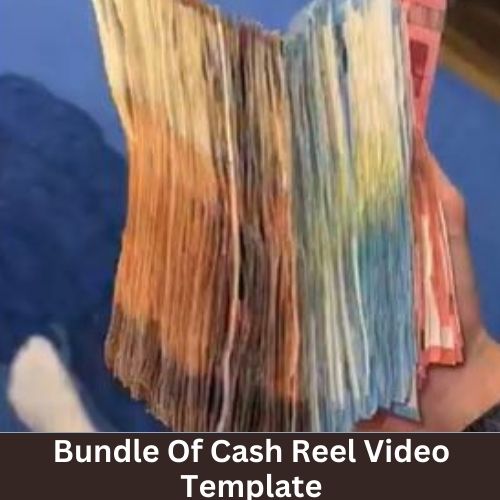 Bundle Of Cash Reel Video Template