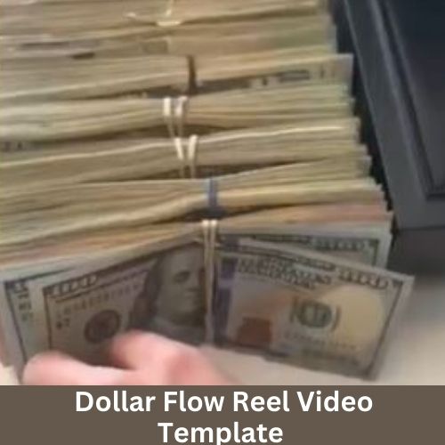 Dollars Flow Reel Video Template